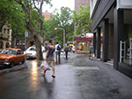 PICT8328.jpg