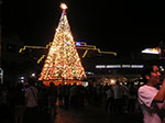 Photos