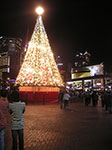 PICT8385.jpg