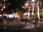 PICT8398.jpg
