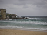 PICT8422.jpg