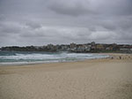 PICT8423.jpg