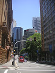 PICT8438.jpg