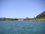 PICT8448.jpg