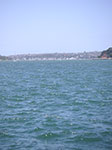 PICT8450.jpg