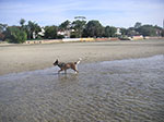 PICT8501.jpg