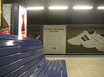PICT8534.jpg