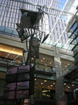 PICT8553.jpg