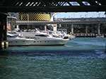 PICT8569.jpg