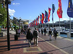 PICT8572.jpg