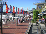 PICT8587.jpg