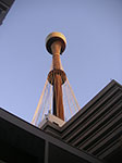 PICT8598.jpg
