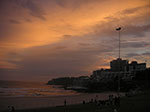 PICT8749.jpg