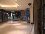 PICT8784.jpg