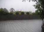 PICT8821.jpg