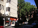PICT8823.jpg