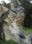 PICT8863.jpg