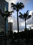 PICT8971.jpg