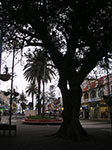 PICT9215.jpg
