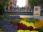 PICT9441.jpg