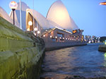 PICT9695.jpg
