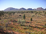 PICT9907.jpg