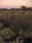 PICT09992.jpg