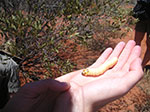 PICT10125.jpg
