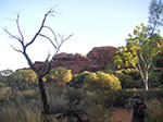 PICT0206.jpg
