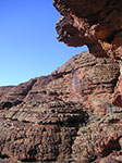 PICT0239.jpg