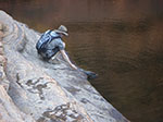 PICT0249.jpg