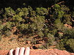 PICT0275.jpg