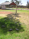 PICT0283.jpg