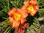 PICT0360.jpg