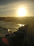 PICT0812.jpg