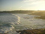 PICT0821.jpg
