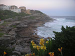 PICT0917.jpg