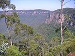 PICT1018.jpg