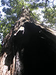 PICT1158.jpg
