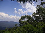 PICT1249.jpg