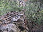 PICT1268.jpg