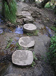 PICT1270.jpg