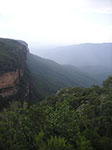 PICT1333.jpg