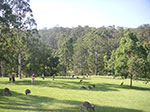 PICT1349.jpg