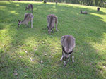PICT1362.jpg