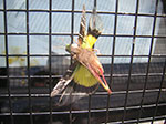 PICT1407.jpg