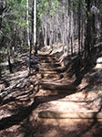 PICT1434.jpg