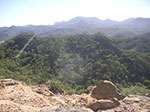 PICT1442.jpg