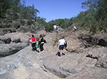 PICT1499.jpg