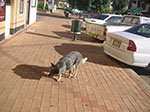 PICT1512.jpg